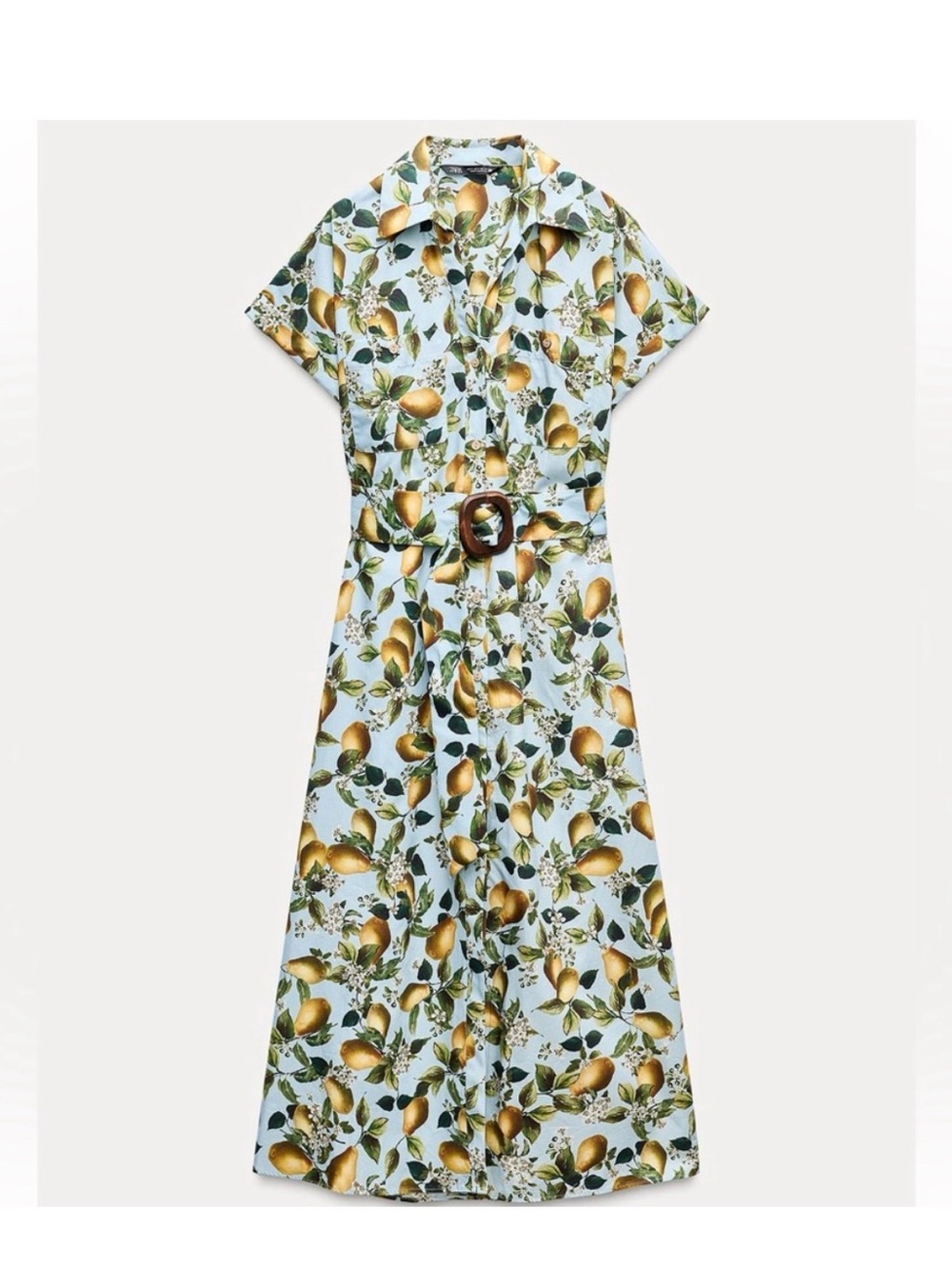 Zara Lemon Print Belted Dress, Size L